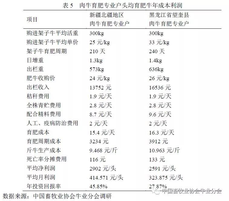 种牛最新价格概览，市场走势、关键因素与行业洞察分析
