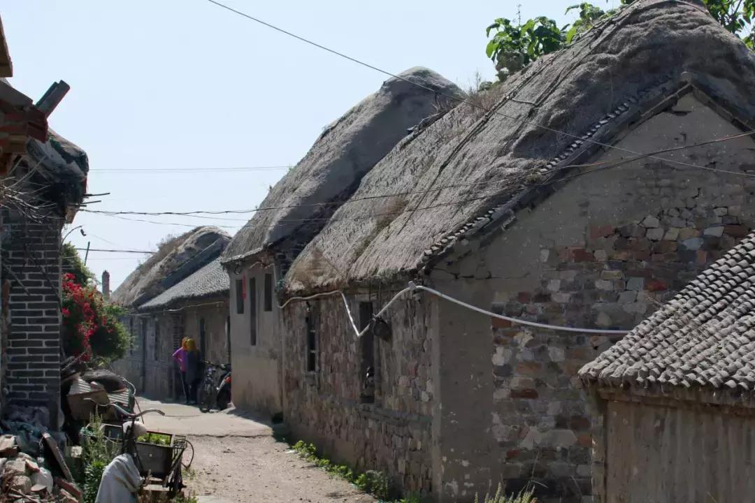 Ofo最新动态，重塑骑行体验，科技引领未来生活