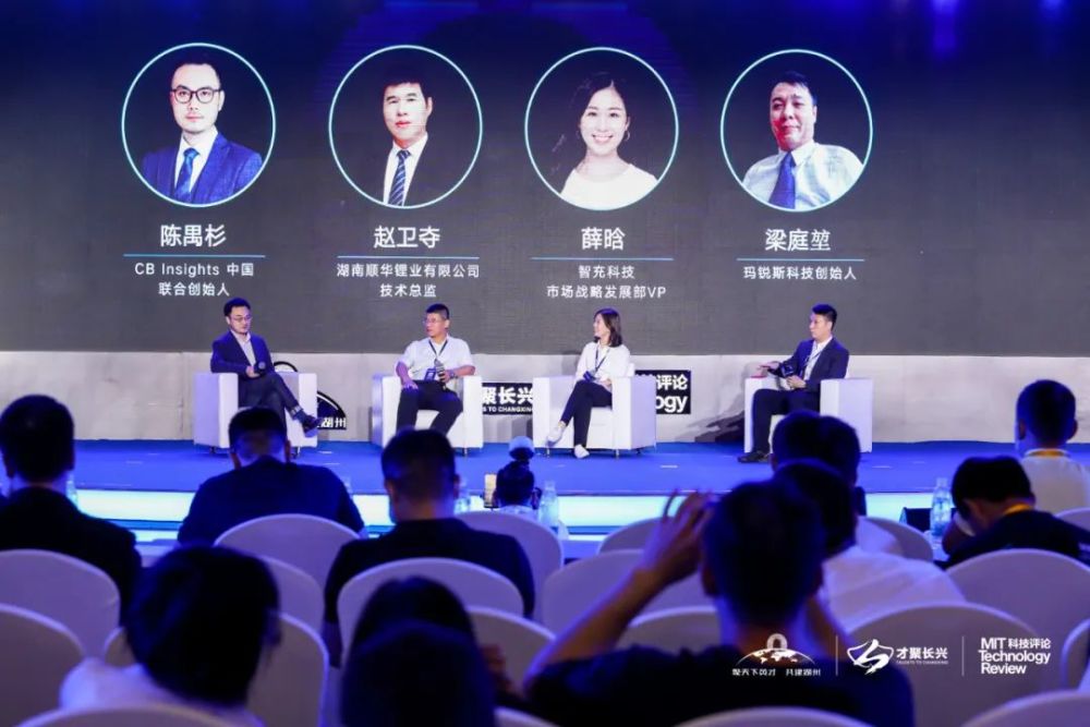 最新鸭苗行情，逆风翱翔，学习成就未来成长之路