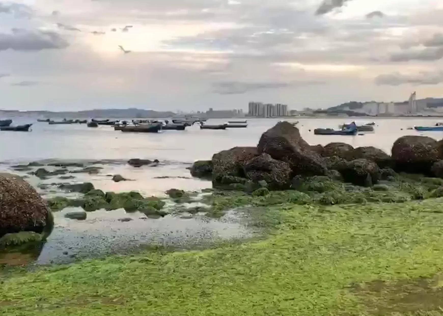 威海最新精彩游记分享