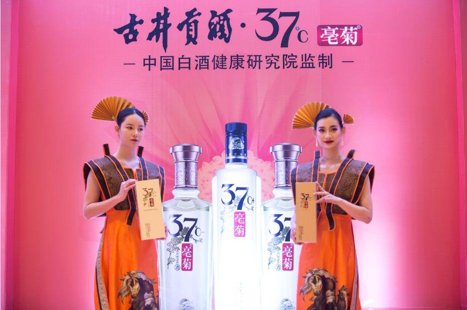 最新攻城游戏攻略，详细步骤指南