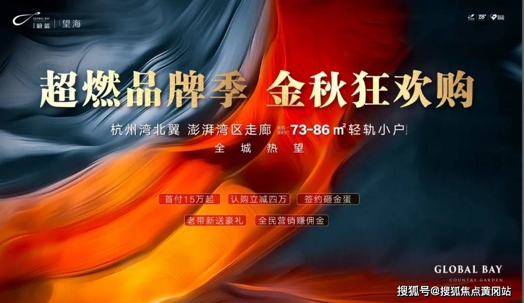 最新党参价格走势分析与选购指南，市场趋势解读及价格概览