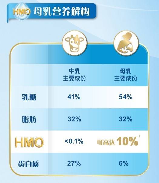 最新加粉平台深度解析与观点阐述，全面探讨其优势与挑战
