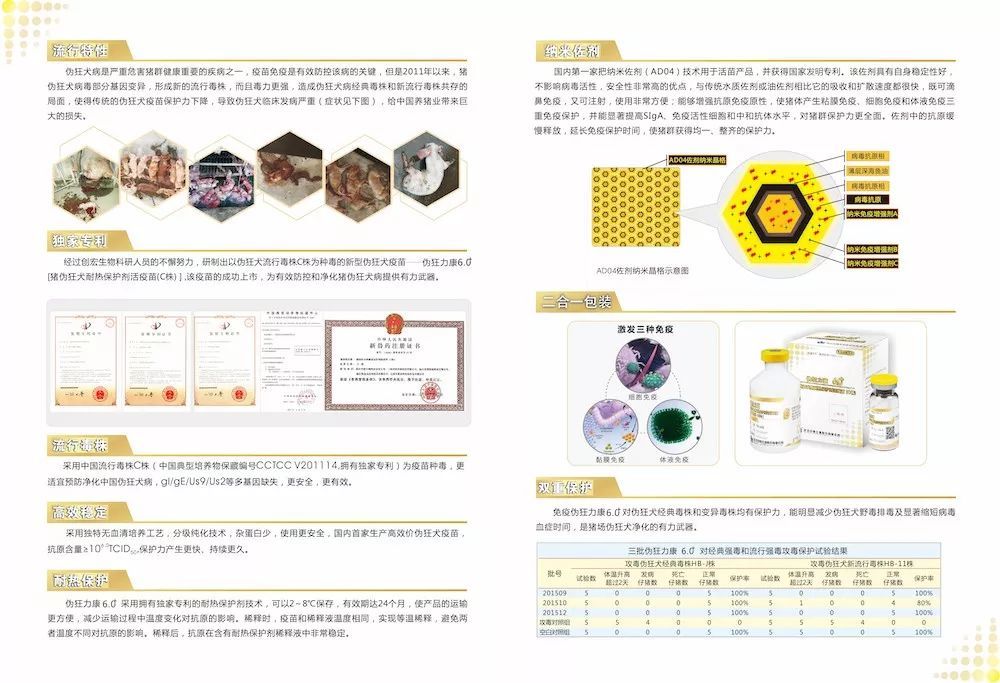 全国最新枸杞价格，时代变迁与市场的波动影响