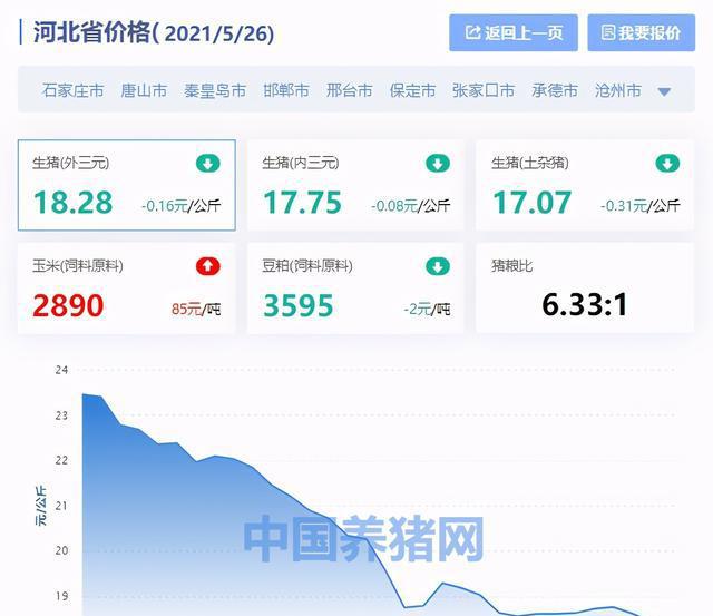 商丘玉米最新价格及市场走势分析与观点阐述