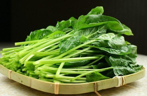 聊城菠菜最新价格及指南