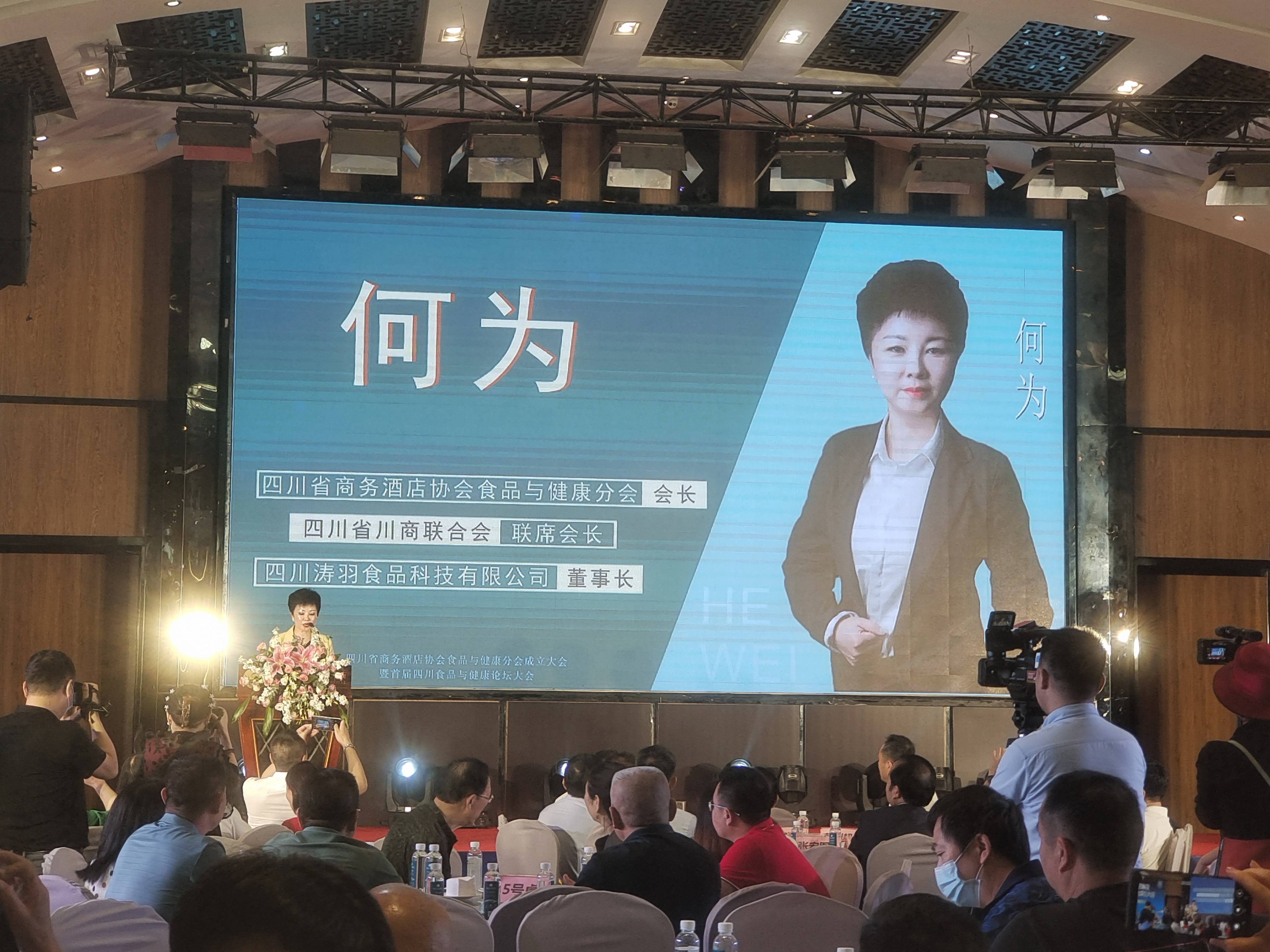 衡阳最新引资情况，高科技产品引领未来生活潮流新篇章