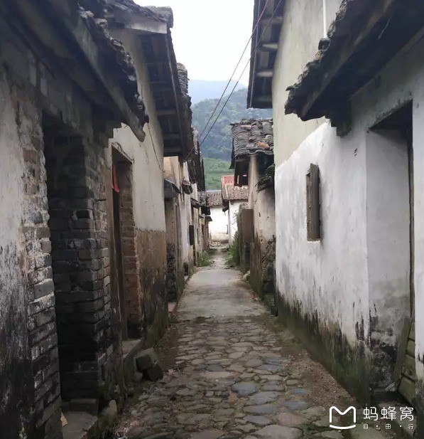 宁海最新房价探索，小巷深处的宝藏与特色小店奇妙之旅