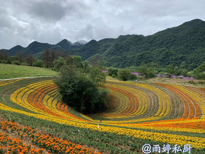 夏津红薯最新价格，自然美景下的心灵之旅探索与宁静之乐