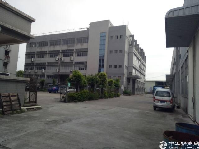 原阳最新独院出售详解，从初学者到进阶用户的全方位指南