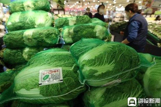 围场白菜最新价格，一颗白菜背后的励志故事与市场价格动态