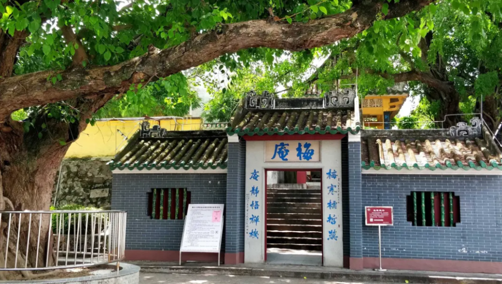 青水庵最新揭秘，小巷中的隐秘瑰宝