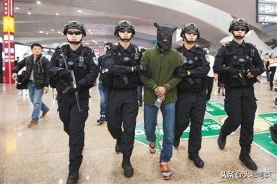 云南三七最新价格，探寻自然美景与内心平静的旅程揭秘