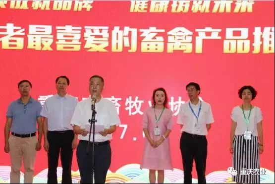 永登最新新闻，城市温情日常与友情爱的交织