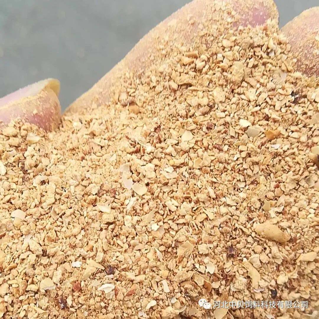 🌟豆柏最新价格揭秘🌟