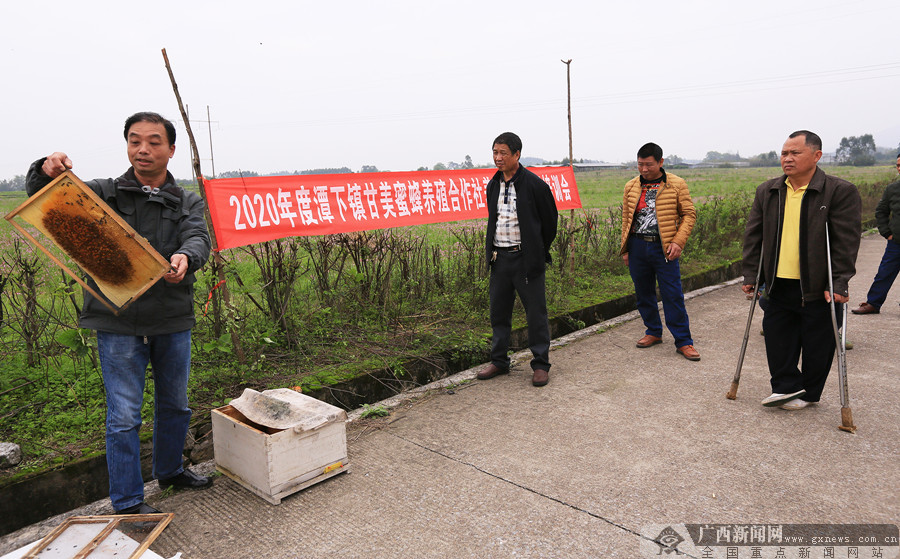 灵川最新新闻，温馨小城里的日常趣事报道
