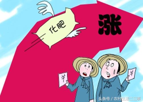 最新化肥行情深度解析，农业人的福音来临！