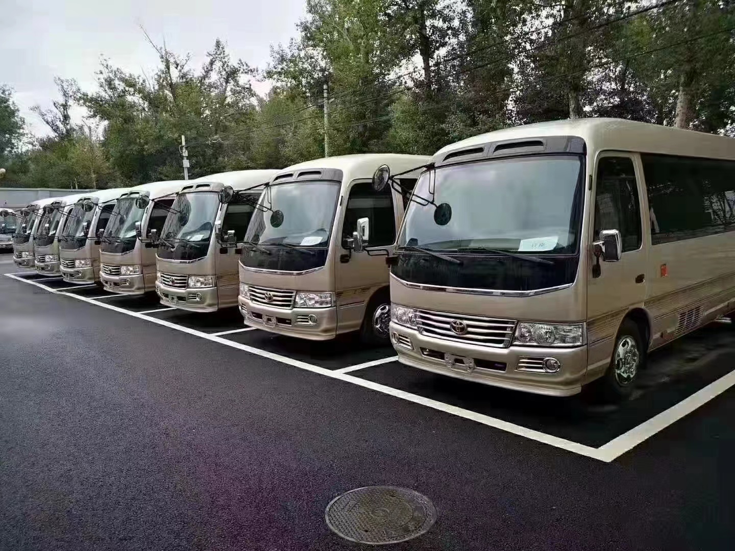 中巴车最新报价，驾驭变化，开启无限可能之旅！