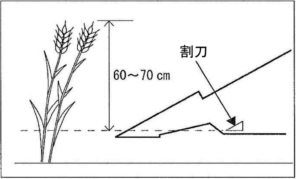 最新款888收割机，小巷中的农业黑科技新宠