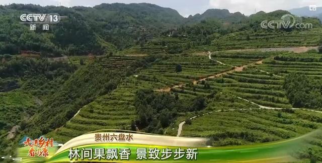 原香溪谷最新动态，未来生活新篇章启幕