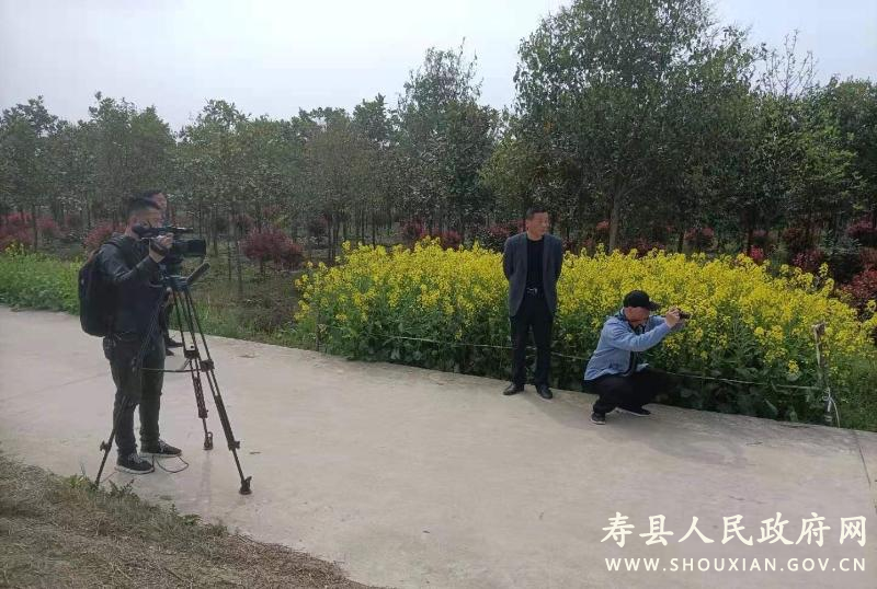 寿县炎刘最新消息及其观点论述摘要