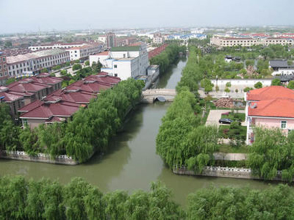 兴化市沙沟镇最新动态，自信与成就感的励志前行之路！