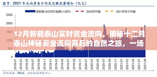 ST三泰最新动态，与自然美景的亲密之旅，探寻内心平和的旅程