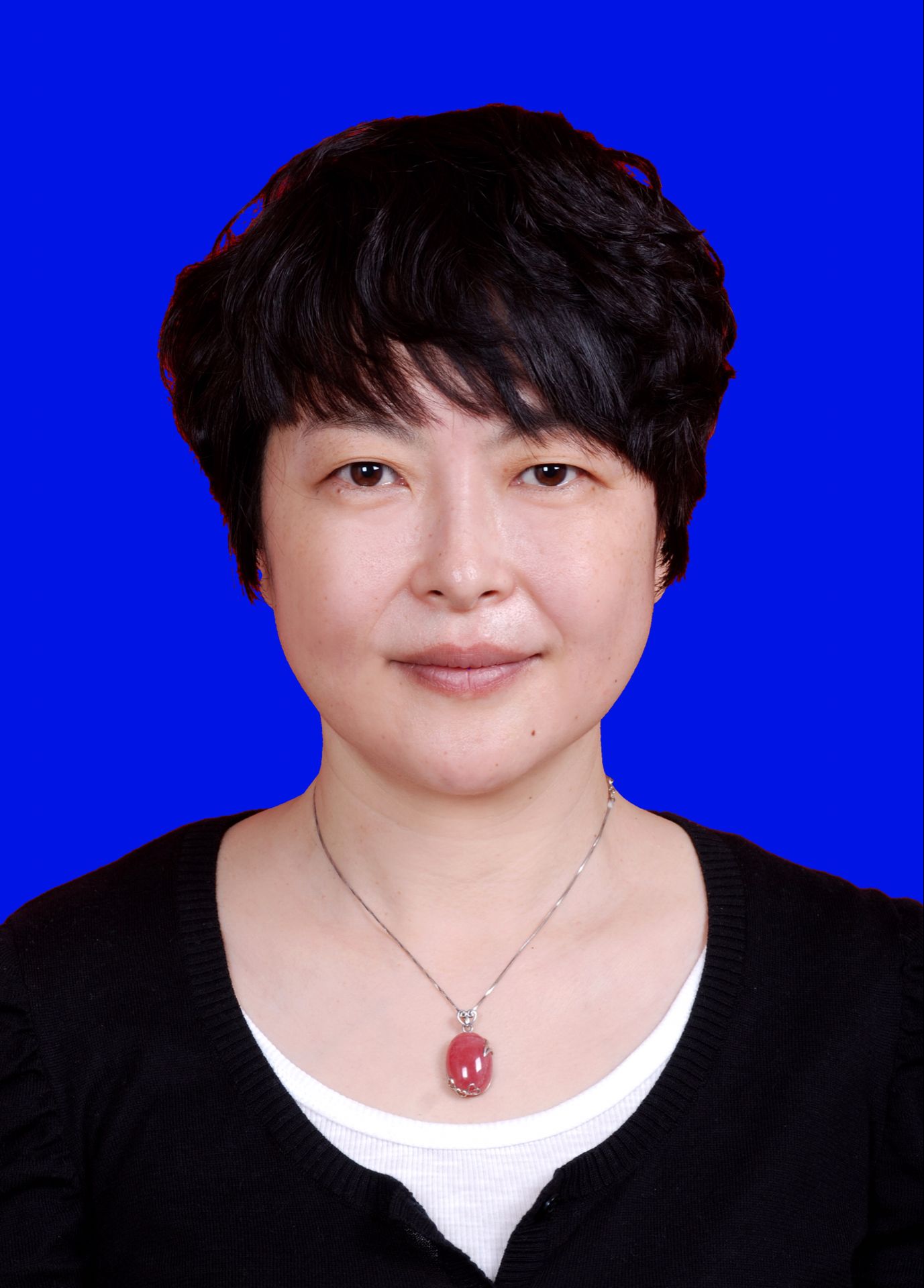 房管局长何丽娜最新动态解析及报道速递