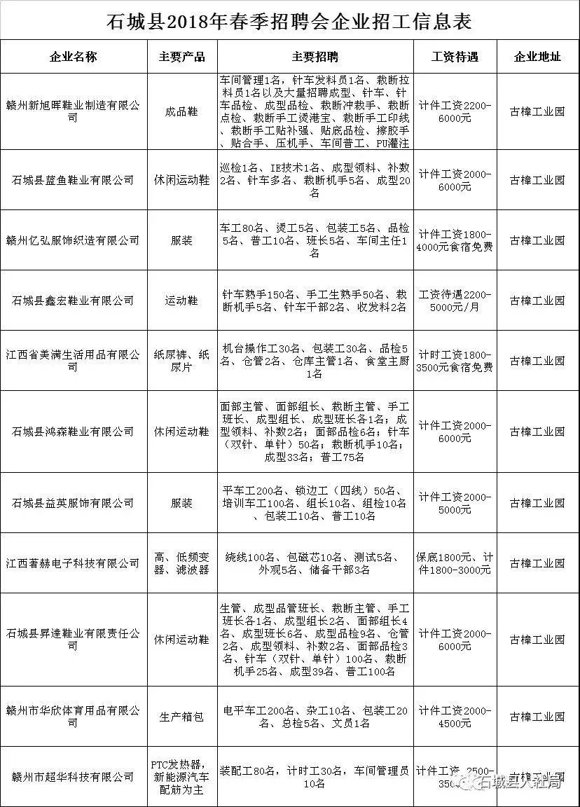 石城人才网最新招聘聚焦，观点分析与职位速递