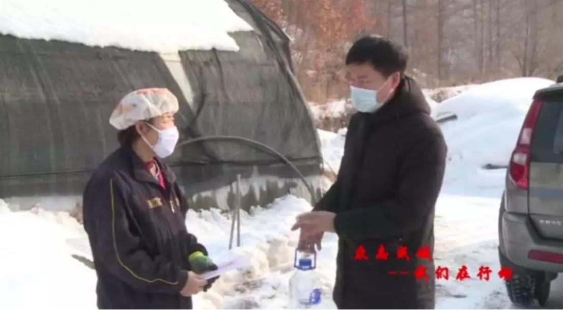 吉林禽流感最新动态，科技守护健康，智能护航未来