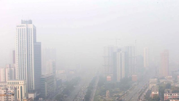 河北大气污染预警更新，小巷深处的绿色秘境探索