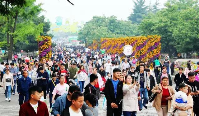 西旅集团最新动态与消息速递📢🎉