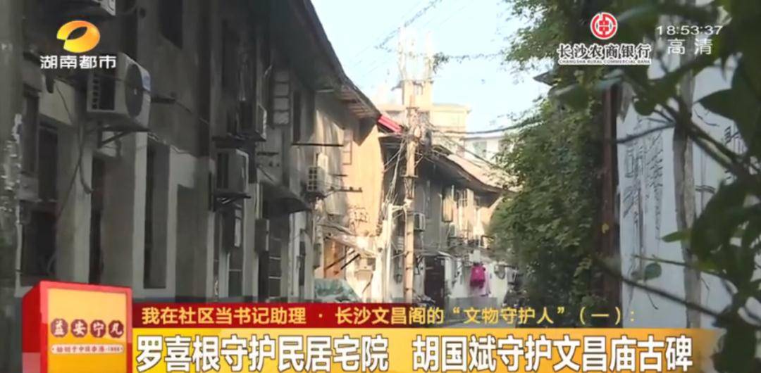 乐天在中国最新动态，小巷中的隐藏宝藏揭秘