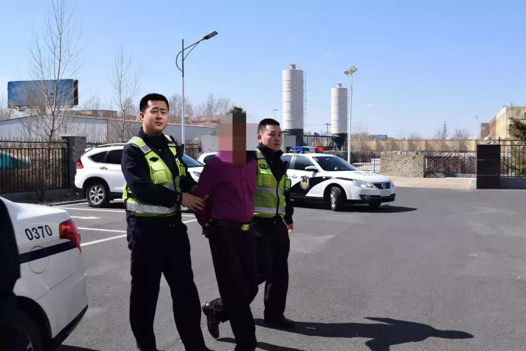 岚曹高速最新动态，驶向自然美景的奇妙探索之旅