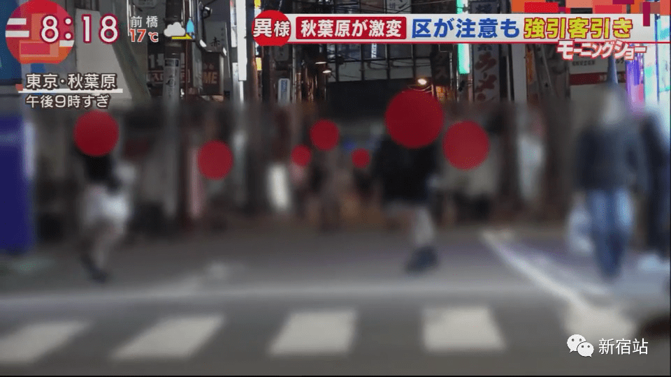 日本最新色情网站，科技与激情的融合，重新定义感官体验