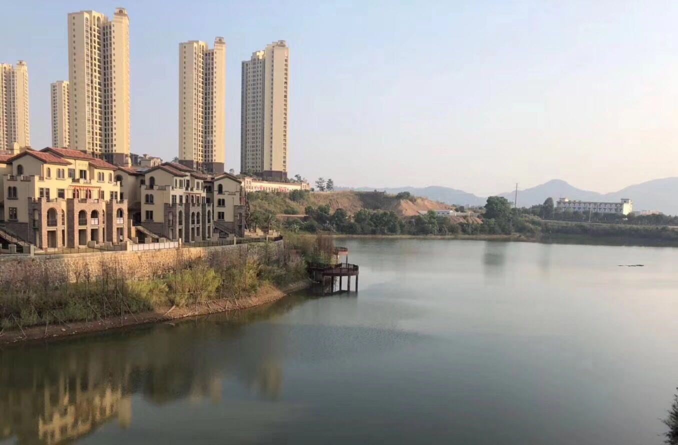 双璧湾最新动态，揭开未来序章的大门
