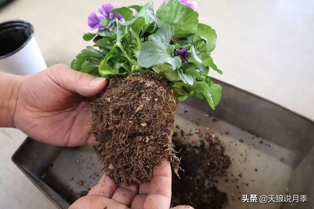 新闻资讯 第56页