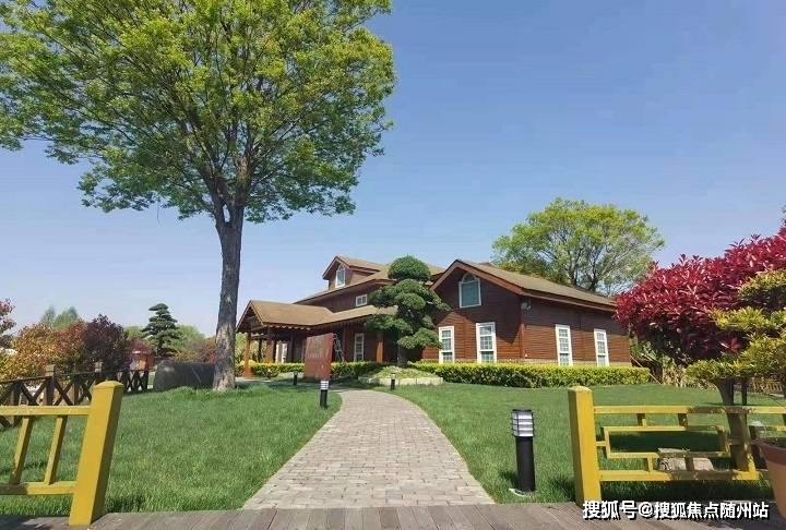 ROGP皇家控股最新动态，学习力量与自信成就感的融合之路