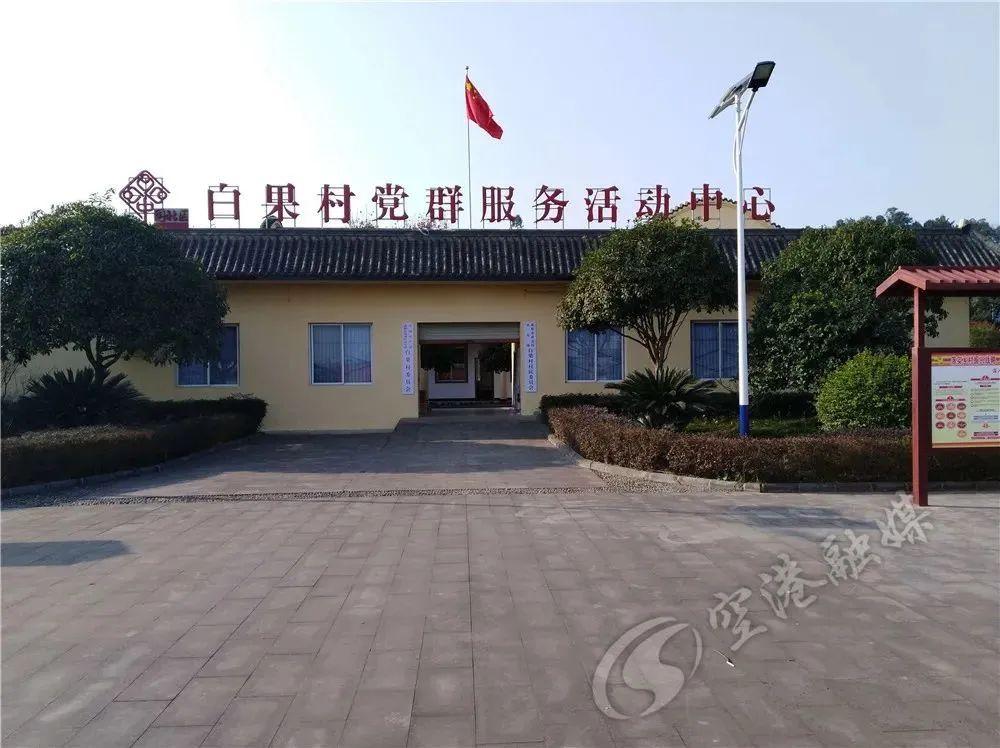 湖南衡山白果最新消息,湖南衡山白果最新消息，繁荣与发展中的白果产业