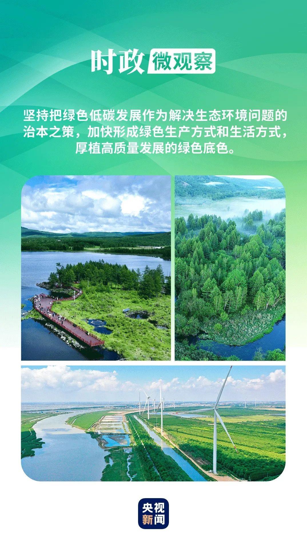 河南周口环保新动态，绿色变革中的励志篇章