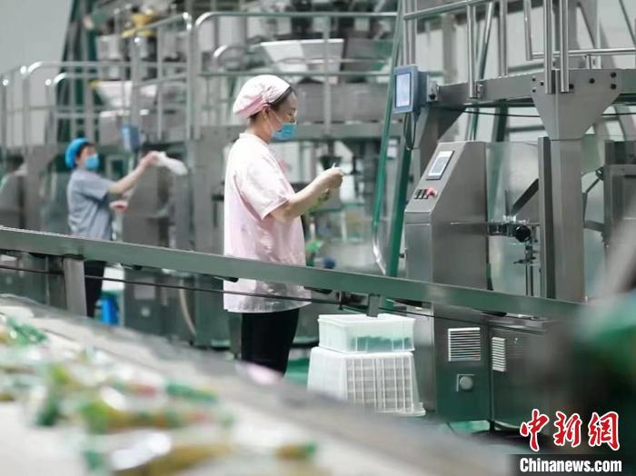 鸡泽房屋最新出售动态，变化中的家园，成就感的源泉