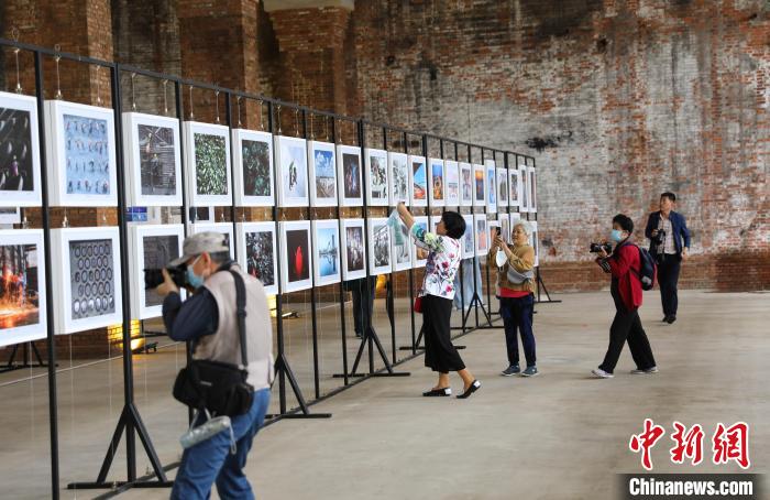辽宁发展最新动态，深度解析最新消息与观点阐述