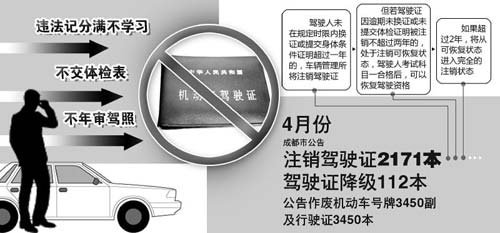 最新准驾证取消政策解读，影响与变化