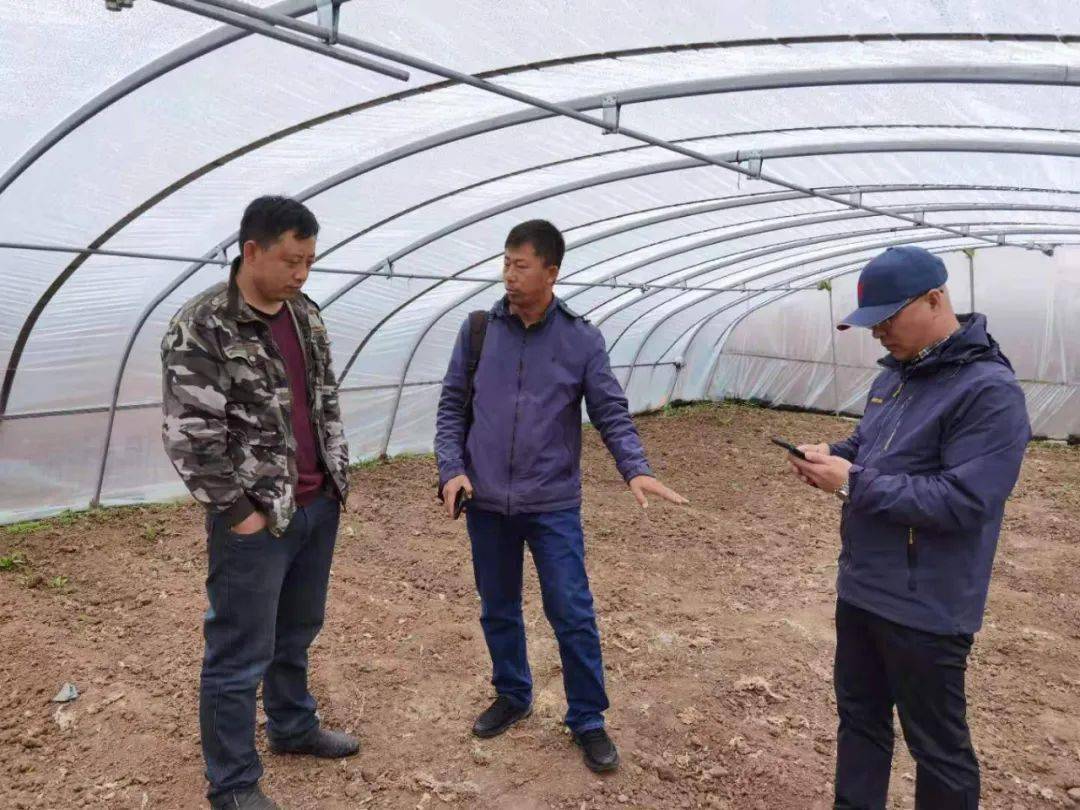 易门县最新新闻，学习变革春风助力自信成就之花绽放