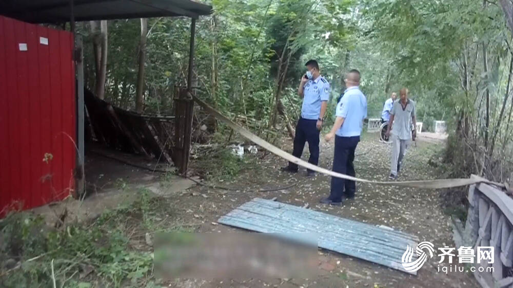 德州最新刑事案件背后的故事，寻找内心平静的绿色之旅探索