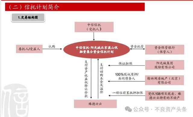 中信信托动态更新，学习之旅中的变革与成就之源