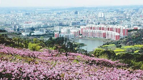 四川邻水最新房价动态，变化中的学习与生活信心力量