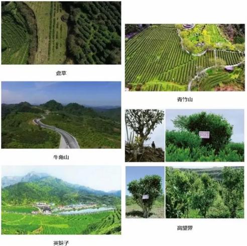 方兴大道最新动态，启程探索自然美景的奇妙之旅