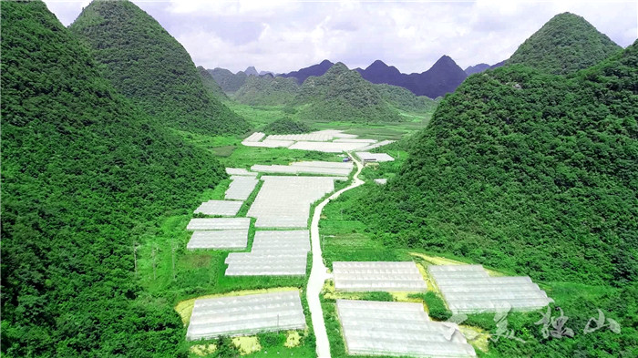 贵州独山县最新新闻，拥抱自然，心灵宁静之旅