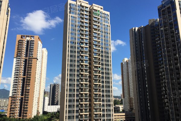 尚峰鸿荣源最新价格，家庭购物之旅的优选选择